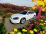 2013 Chevrolet Impala in COSTA MESA, CA 92626 - 18023443
