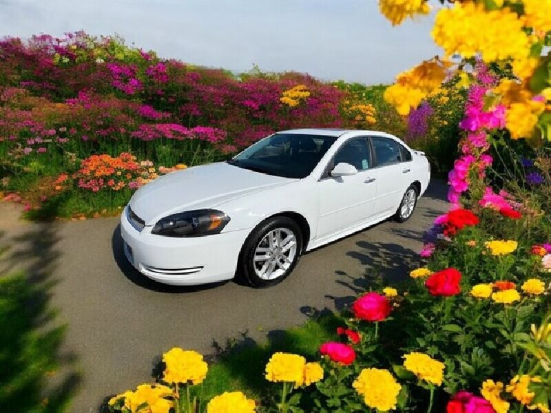 2013 Chevrolet Impala in COSTA MESA, CA 92626 - 18023443