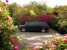 2016 Dodge Grand Caravan in COSTA MESA, CA 92626 - 18023450