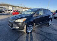 2014 Ford Escape in Hickory, NC 28602 - 18029599 6