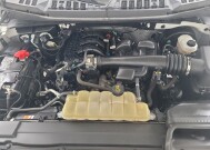 2019 Ford F150 in St. Louis, MO 63125 - 18128294 30