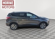 2015 Ford Escape in Mesa, AZ 85212 - 18133855 5