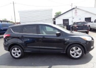 2014 Ford Escape in Lebanon, TN 37087-3302 - 18136012 2