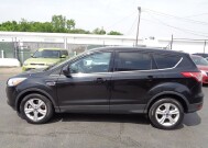 2014 Ford Escape in Lebanon, TN 37087-3302 - 18136012 1