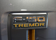 2025 Ford F150 in Burlington, WI 53105 - 18137748 10