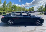 2017 Honda Accord in Marysville, OH 43040 - 18144313 10