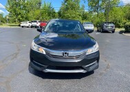 2017 Honda Accord in Marysville, OH 43040 - 18144313 2