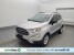 2018 Ford EcoSport in Bradenton, FL 34207 - 18146055