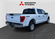 2023 Ford F150 in Winchester, VA 22602 - 18149517 2