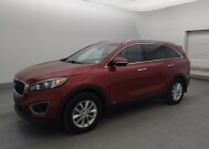 2016 Kia Sorento in Tampa, FL 33612 - 18149832 2