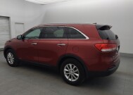 2016 Kia Sorento in Tampa, FL 33612 - 18149832 3