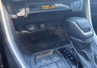 2019 Toyota RAV4 in Mesa, AZ 85212 - 18151619 19