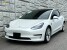 2021 Tesla Model 3 in Decatur, GA 30032 - 18151819