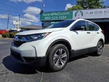 2019 Honda CR-V in Knoxville, TN 37912