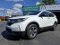 2019 Honda CR-V in Knoxville, TN 37912 - 18152527
