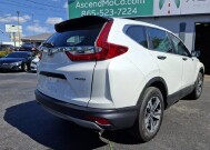 2019 Honda CR-V in Knoxville, TN 37912 - 18152527 10