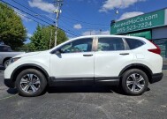 2019 Honda CR-V in Knoxville, TN 37912 - 18152527 3