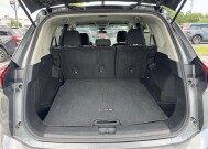 2024 Nissan Rogue in Winchester, VA 22602 - 18152589 12