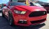 2015 Ford Mustang in Miramar, FL 33023 - 18152994