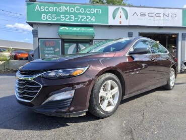 2020 Chevrolet Malibu in Knoxville, TN 37912