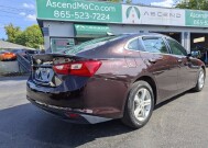 2020 Chevrolet Malibu in Knoxville, TN 37912 - 18153297 5