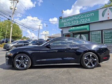 2019 Ford Mustang in Knoxville, TN 37912
