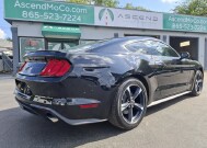 2019 Ford Mustang in Knoxville, TN 37912 - 18153462 2