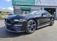2019 Ford Mustang in Knoxville, TN 37912 - 18153462 4