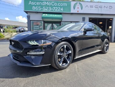 2019 Ford Mustang in Knoxville, TN 37912