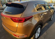 2019 Kia Sportage in Phoenix, AZ 85022 - 18153538 4