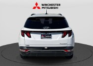 2024 Hyundai Tucson in Winchester, VA 22602 - 18153604 3