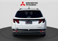 2024 Hyundai Tucson in Winchester, VA 22602 - 18153604 3