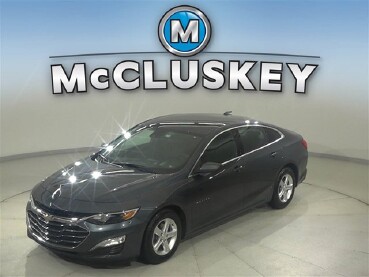 2019 Chevrolet Malibu in Cincinnati, OH 45251-2402