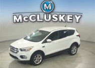 2019 Ford Escape in Cincinnati, OH 45251-2402 - 2054299 1