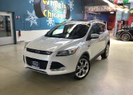 2013 Ford Escape in Chicago, IL 60659 - 2317686 1