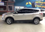 2017 Ford Escape in Chicago, IL 60659 - 2323627 2