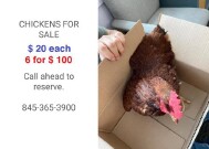 2020 Chevrolet Tahoe in Blauvelt, NY 10913 - 2362250 56