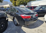 2014 Honda Accord in Pompano Beach, FL 33064 - 2403696 6